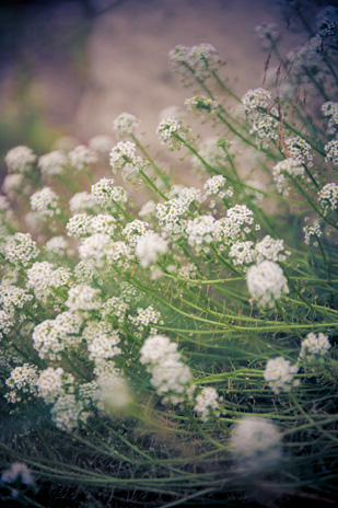 Kristyn_Drew_Vintage-Wedding_309_027